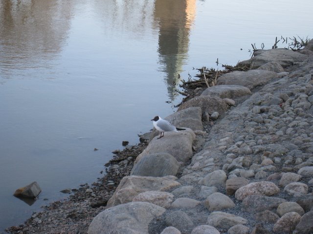 [IMG_1687-709258.JPG]
