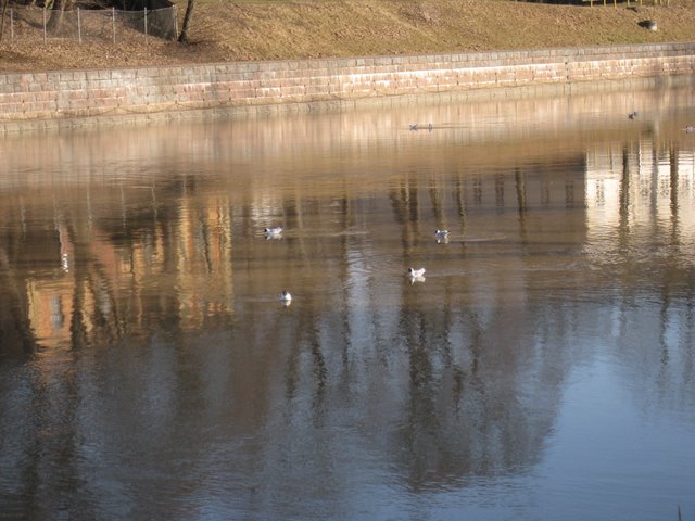 [IMG_1689-710281.JPG]