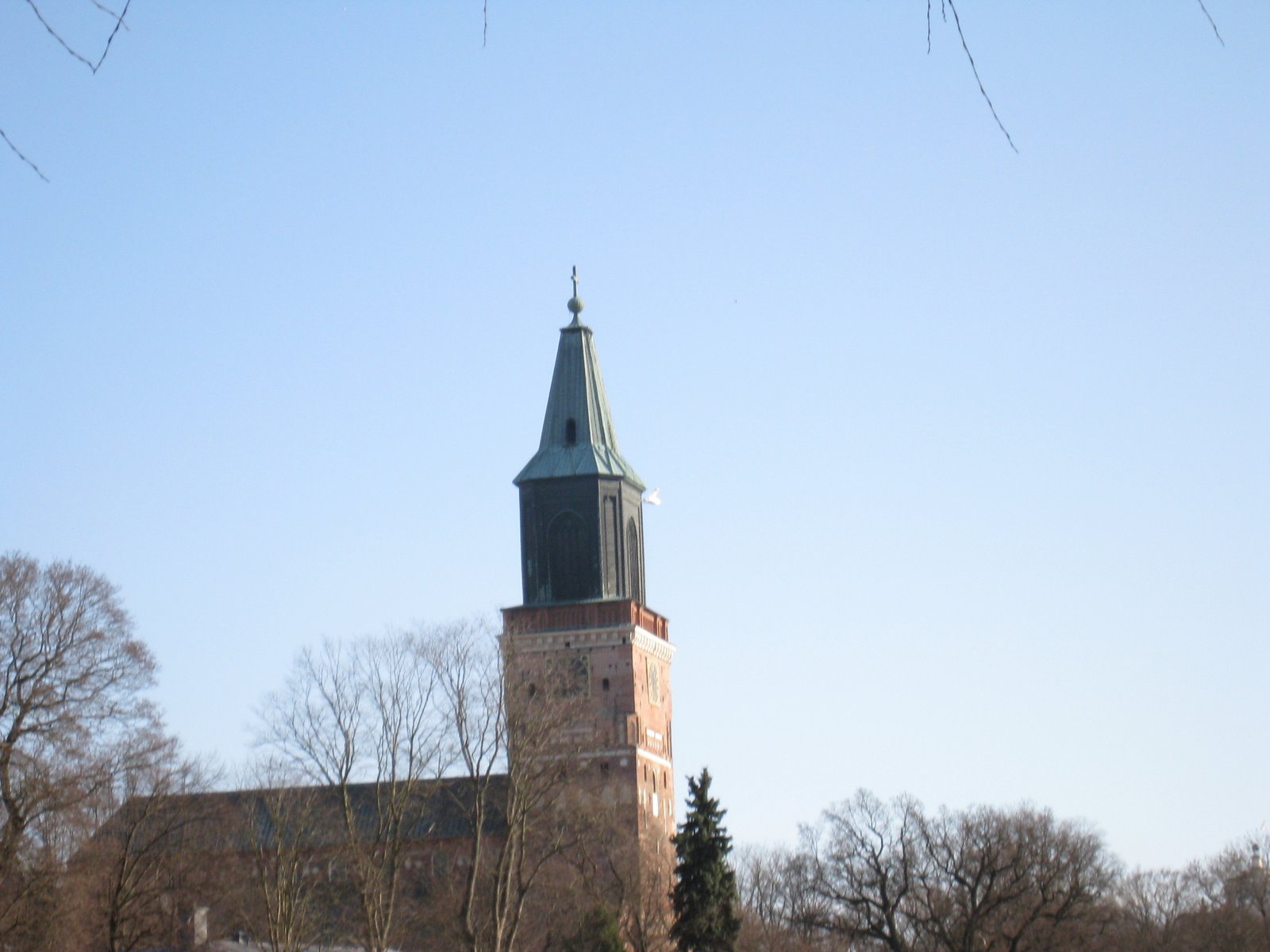 [IMG_1685-723173.JPG]