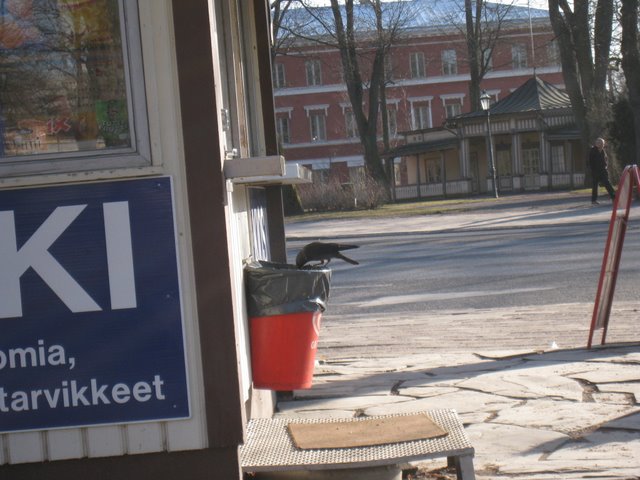 [IMG_1711-764624.JPG]