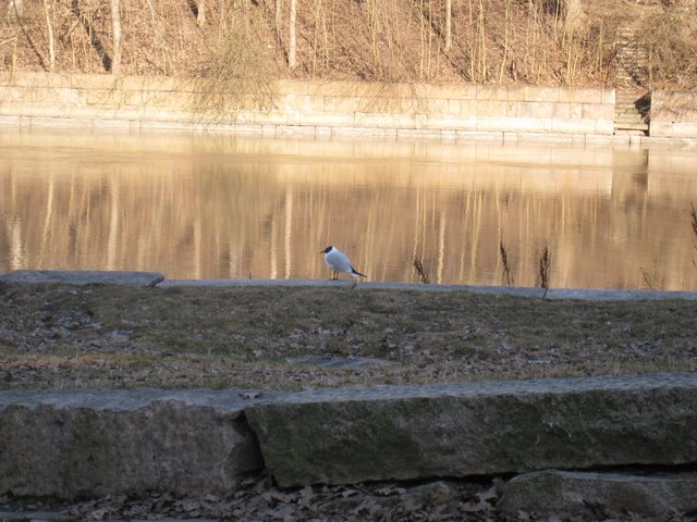 [IMG_1698-754663.JPG]