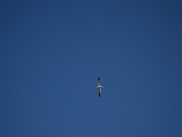 [IMG_1720-731416.JPG]