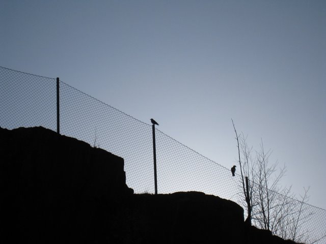 [IMG_1722-732432.JPG]