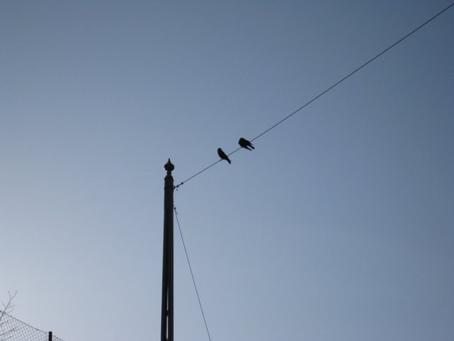 [IMG_1723-733092.JPG]
