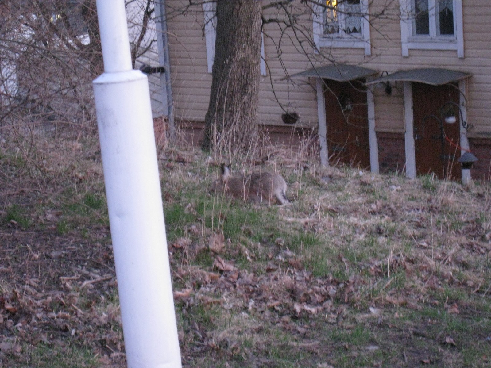 [IMG_1942-719481.JPG]