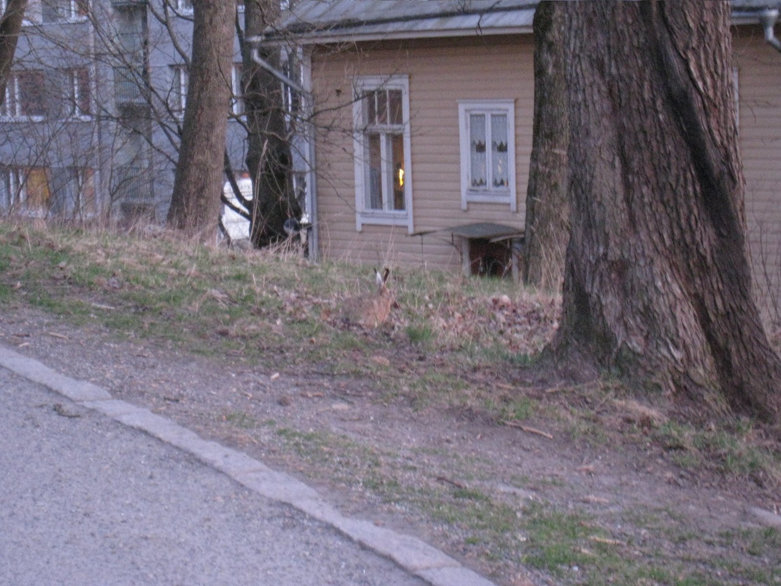 [IMG_1938-717080.JPG]