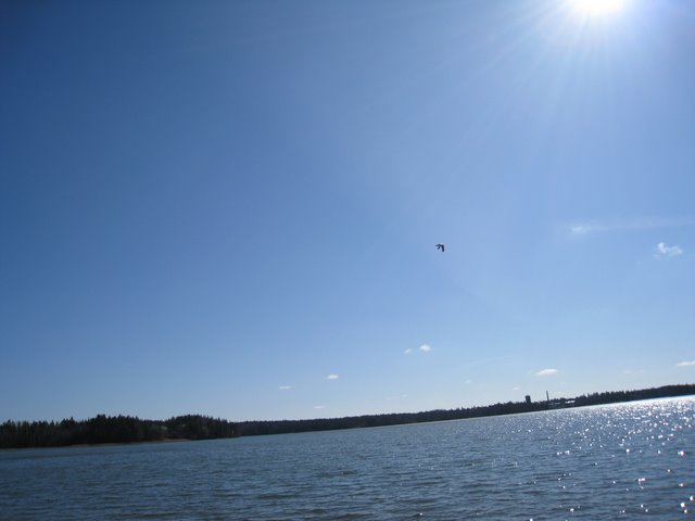 [IMG_1956-720220.JPG]