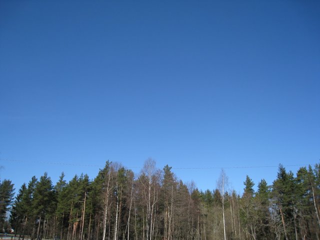 [IMG_1971-794873.JPG]