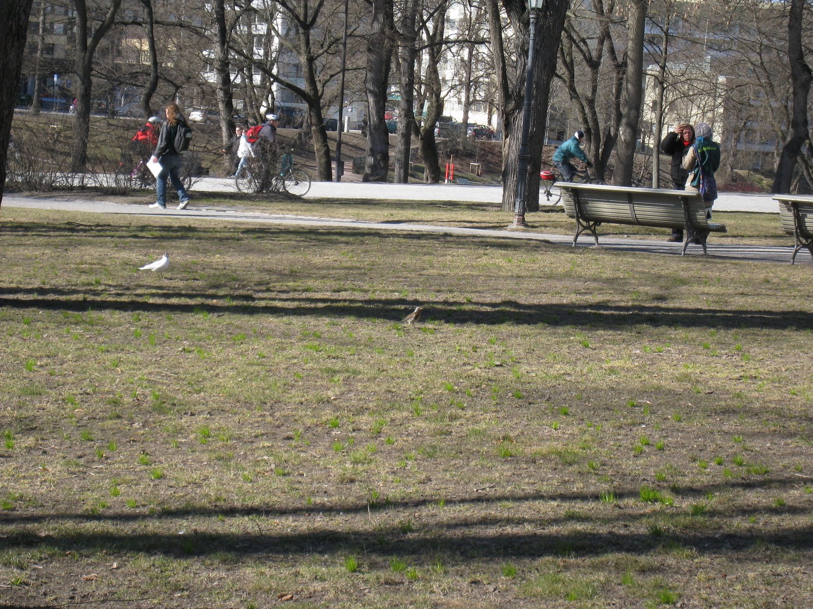 [IMG_1820-715291.JPG]