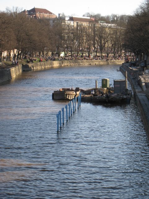 [IMG_2073-799888.JPG]