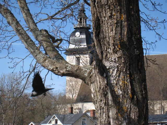 [IMG_2151-792019.JPG]