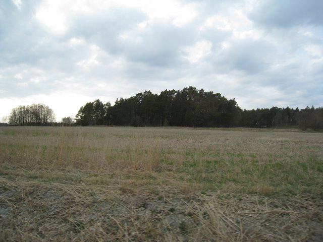 [IMG_2192-752752.JPG]