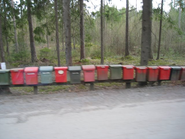 [IMG_2195-783005.JPG]