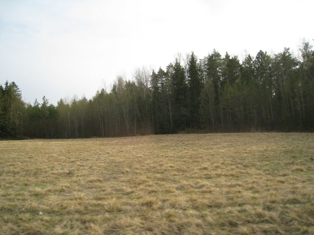 [IMG_2202-785160.JPG]