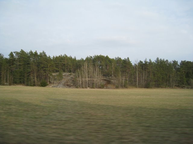 [IMG_2203-798858.JPG]
