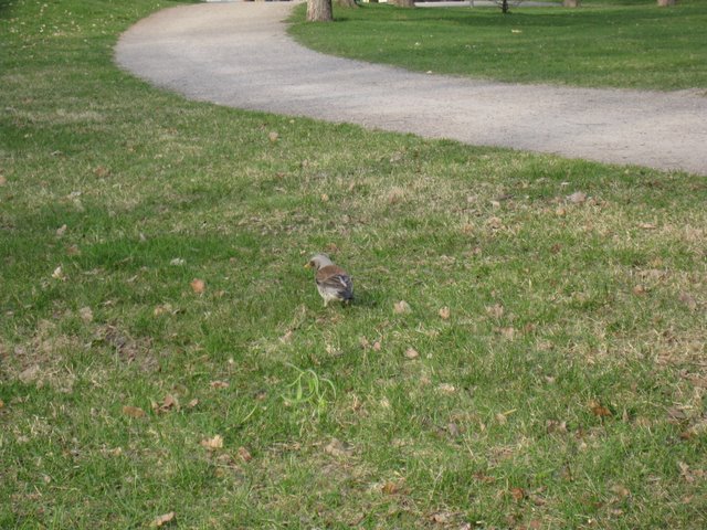 [IMG_2261-730678.JPG]