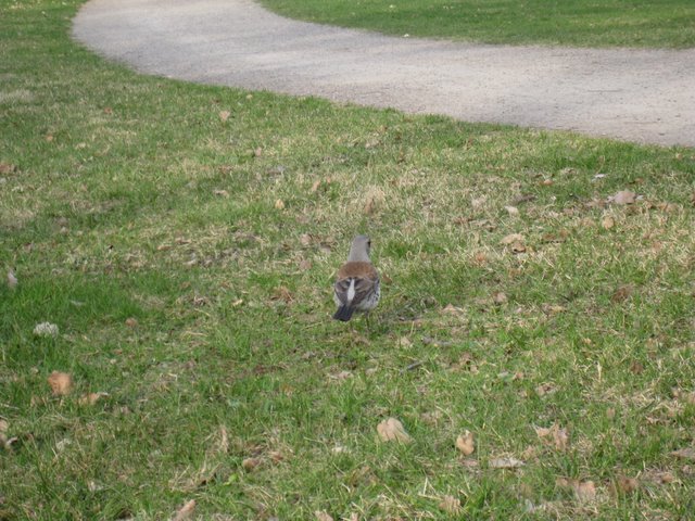 [IMG_2263-731687.JPG]