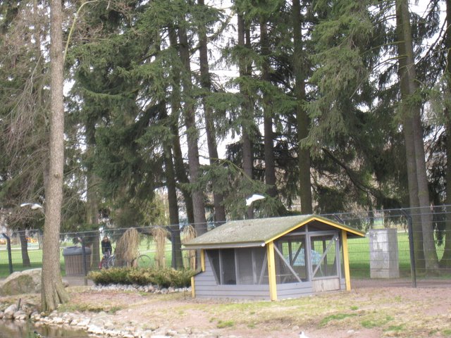 [IMG_2288-755559.JPG]