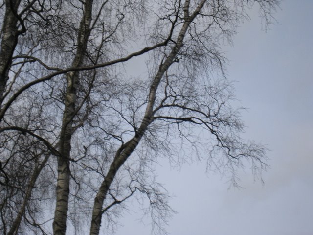 [IMG_2291-756264.JPG]