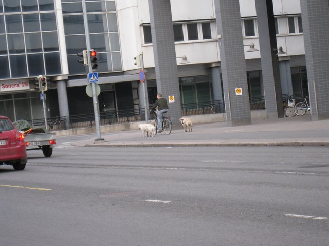[IMG_2295-777803.JPG]
