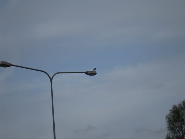 [IMG_2304-759941.JPG]