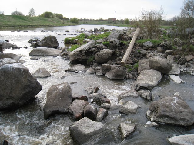 [IMG_2315-732301.JPG]