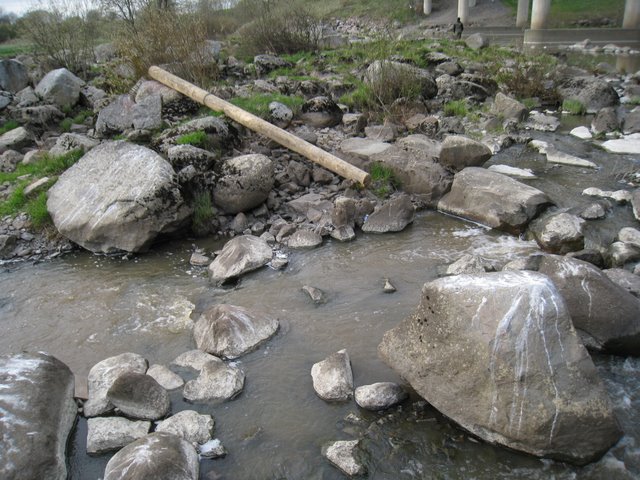 [IMG_2317-733079.JPG]