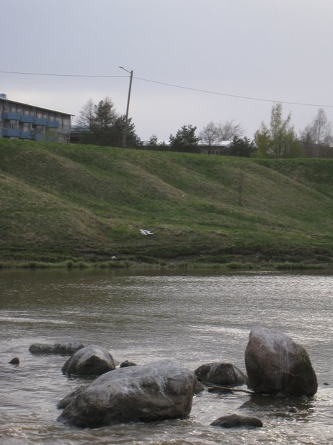 [IMG_2323-734674.JPG]