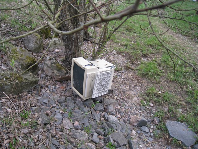 [IMG_2347-790002.JPG]