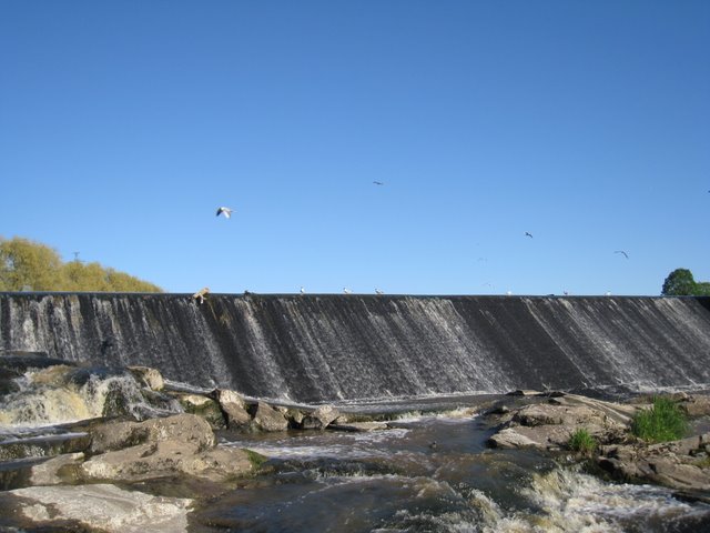 [IMG_2499-791288.JPG]