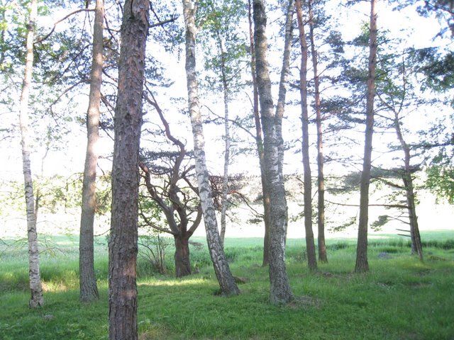 [IMG_2516-724799.JPG]