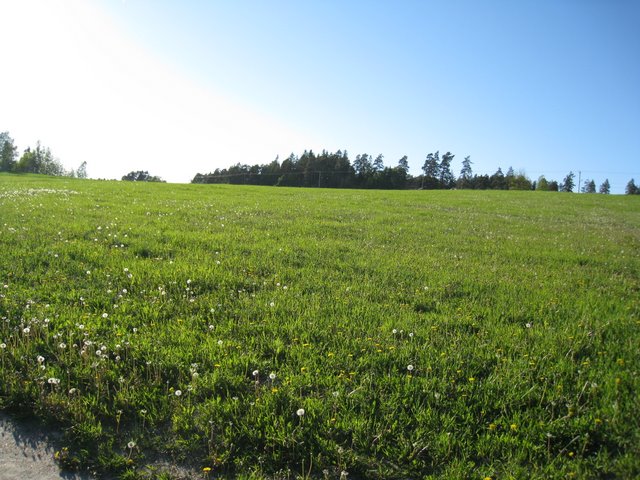 [IMG_2533-782416.JPG]