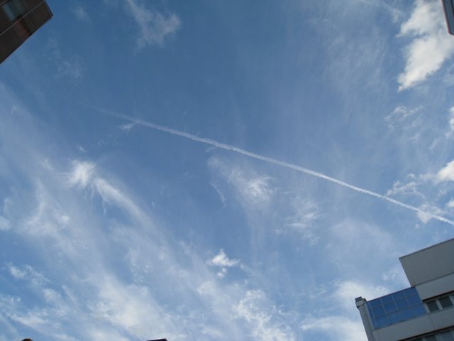 [IMG_2552-765694.JPG]