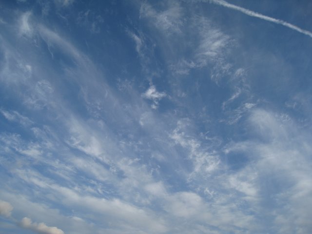 [IMG_2555-770307.JPG]