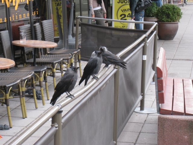 [IMG_2562-776770.JPG]