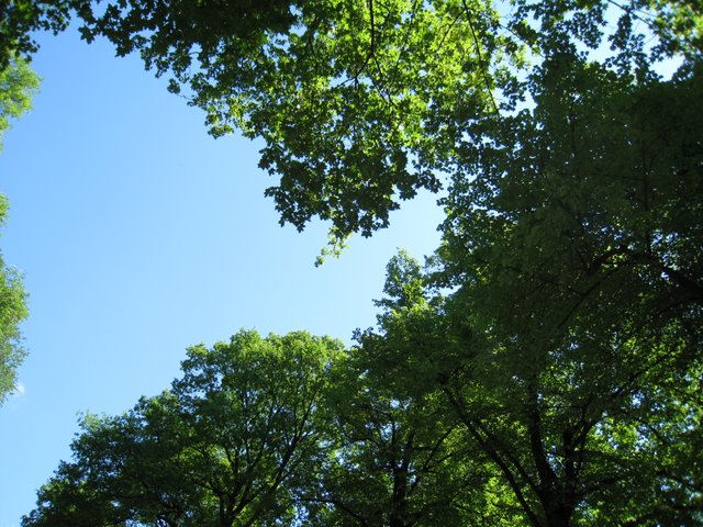 [IMG_2757-782381.JPG]