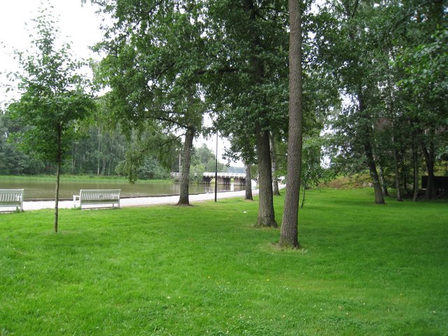 [IMG_2974-703559.JPG]