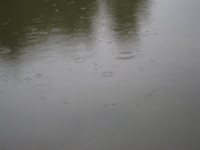 [IMG_2983-711832.JPG]