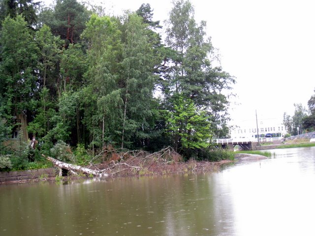 [IMG_2980-708484.JPG]