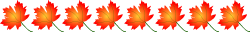[maple-leaf-borderth.gif]