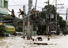 Even climbing up to the telephone wires