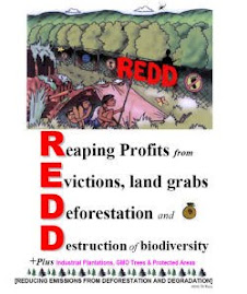 REDD Book - English (PDF)