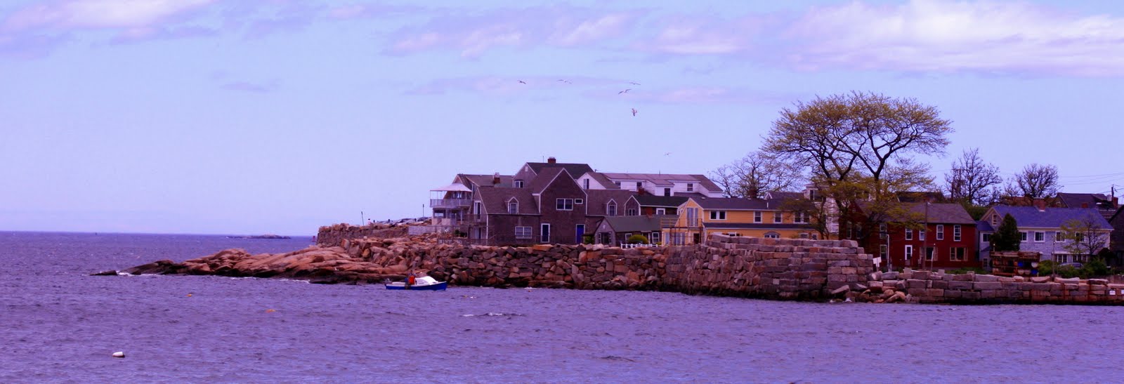 Here are some pics that I took on Cape Ann this weekend