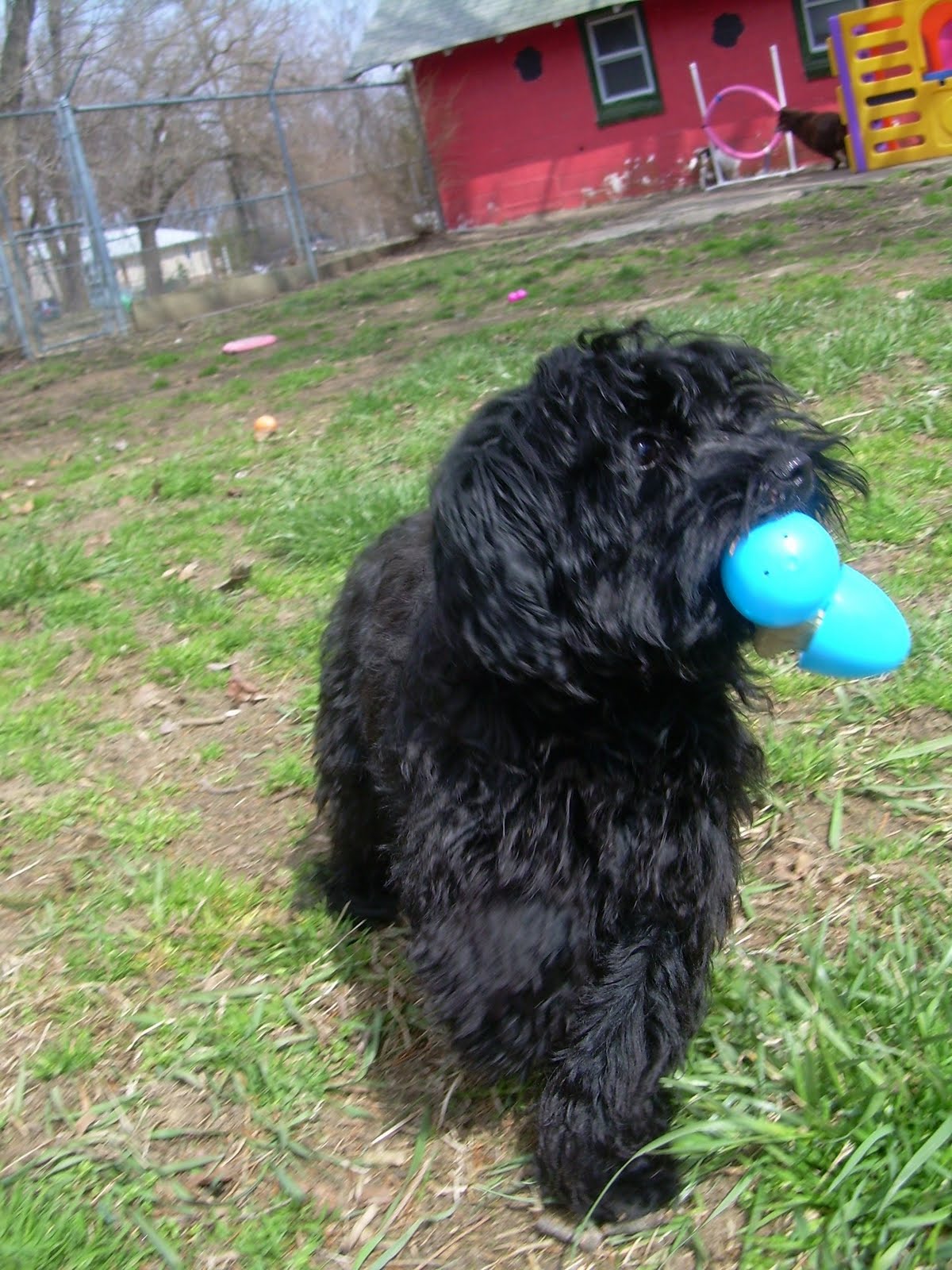 Best Friends Cinnaminson