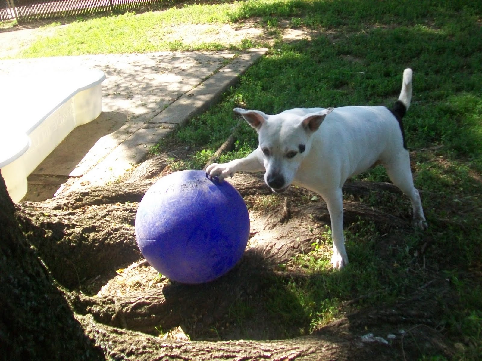 Best Friends Cinnaminson