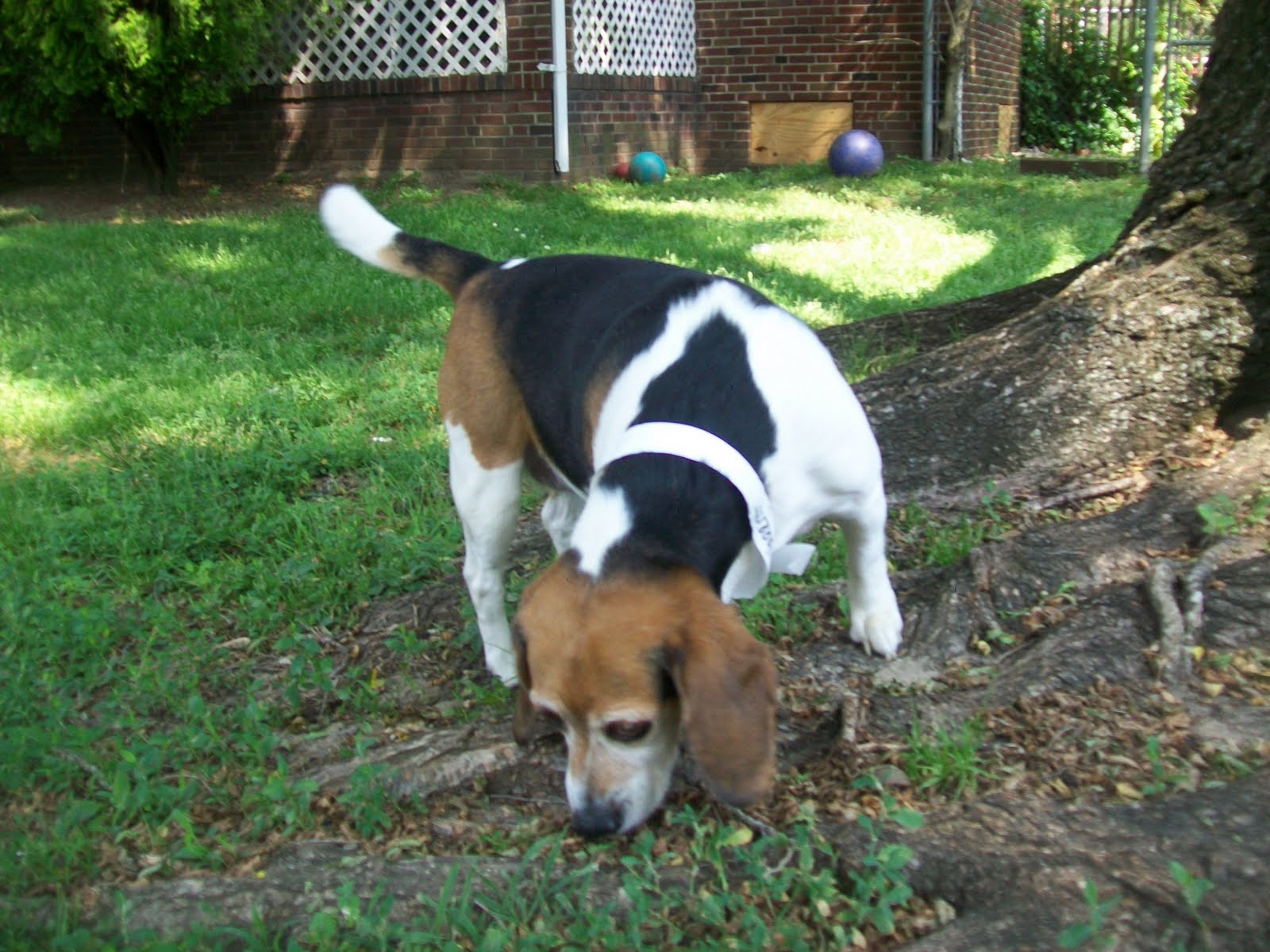 Best Friends Cinnaminson
