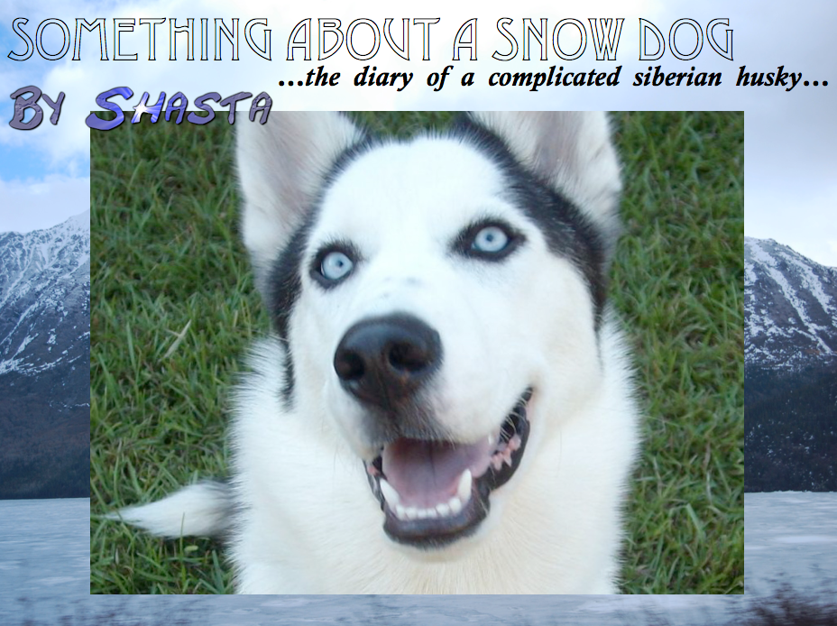 Something About A Snow Dog