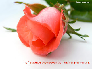 Romantic Rose Love Greeting Cards