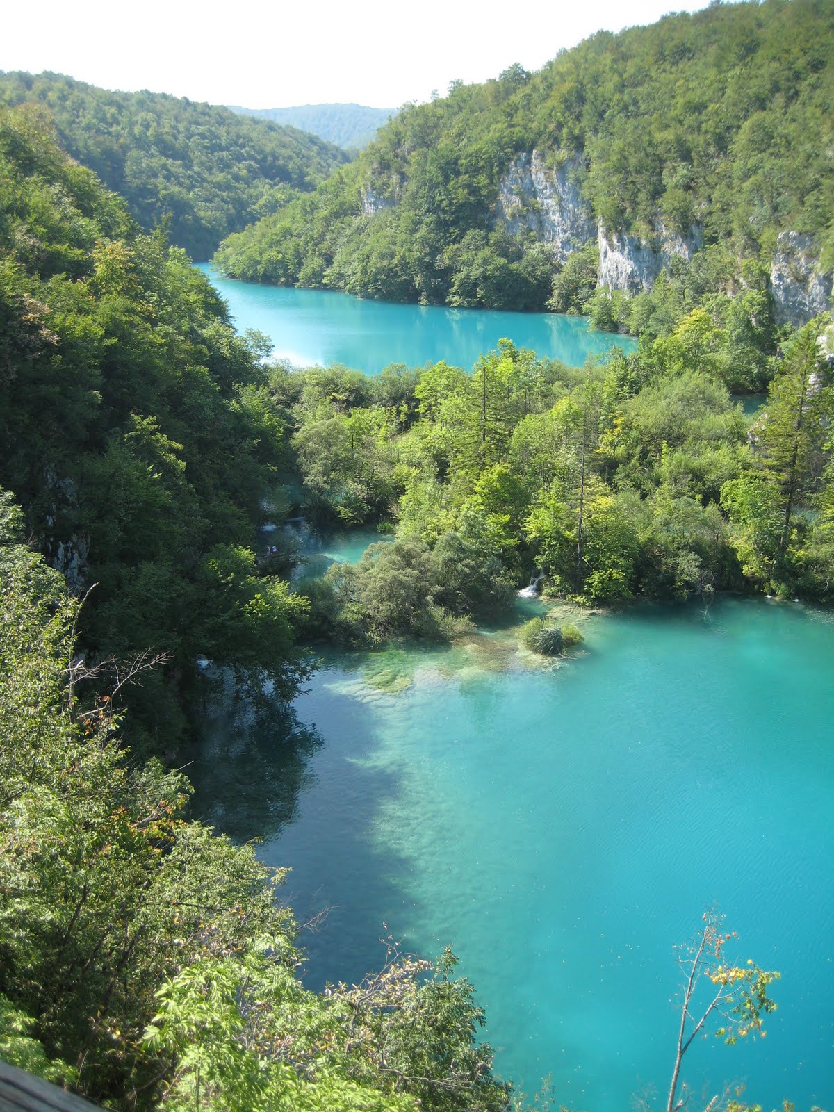 [IMG_3959.JPG]