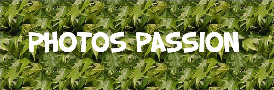 PHOTOS PASSION